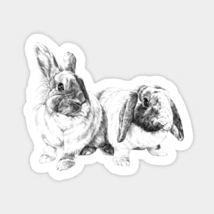 Feyre and Sandi Sticker